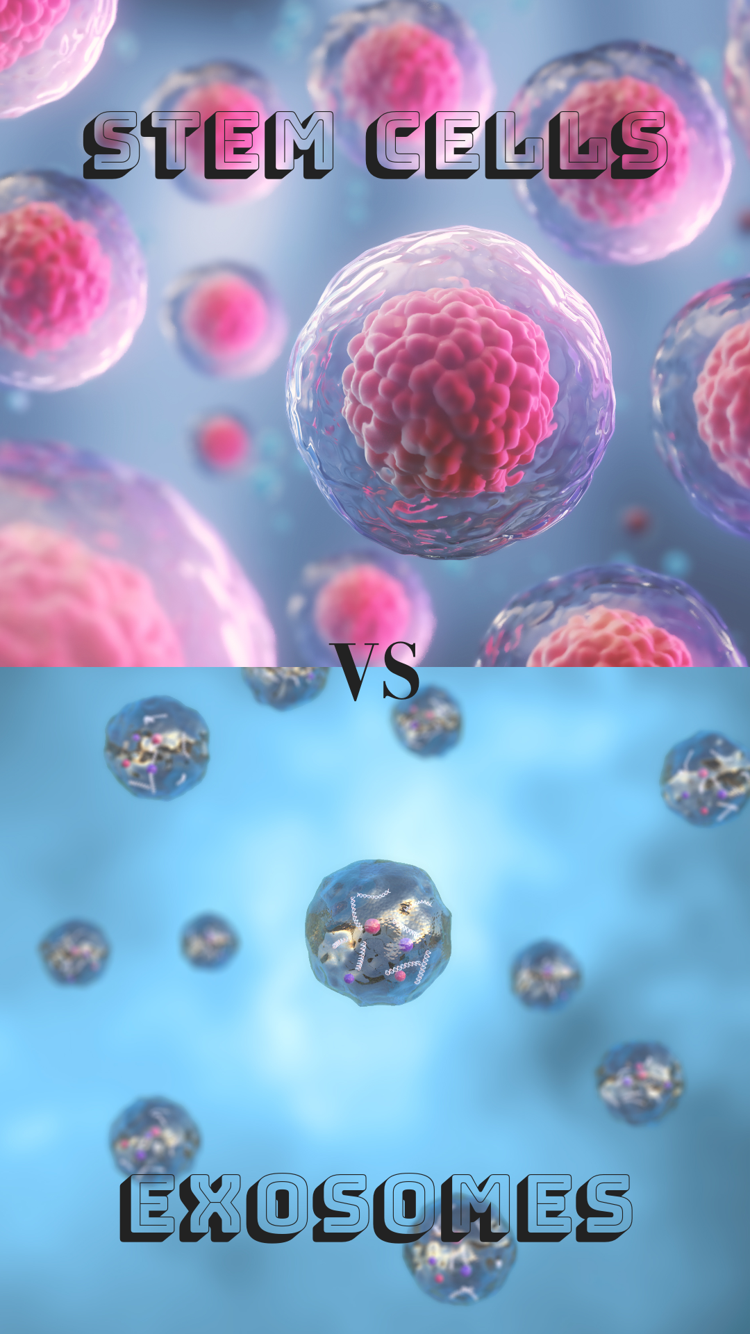 Exosomes and Stem Cells