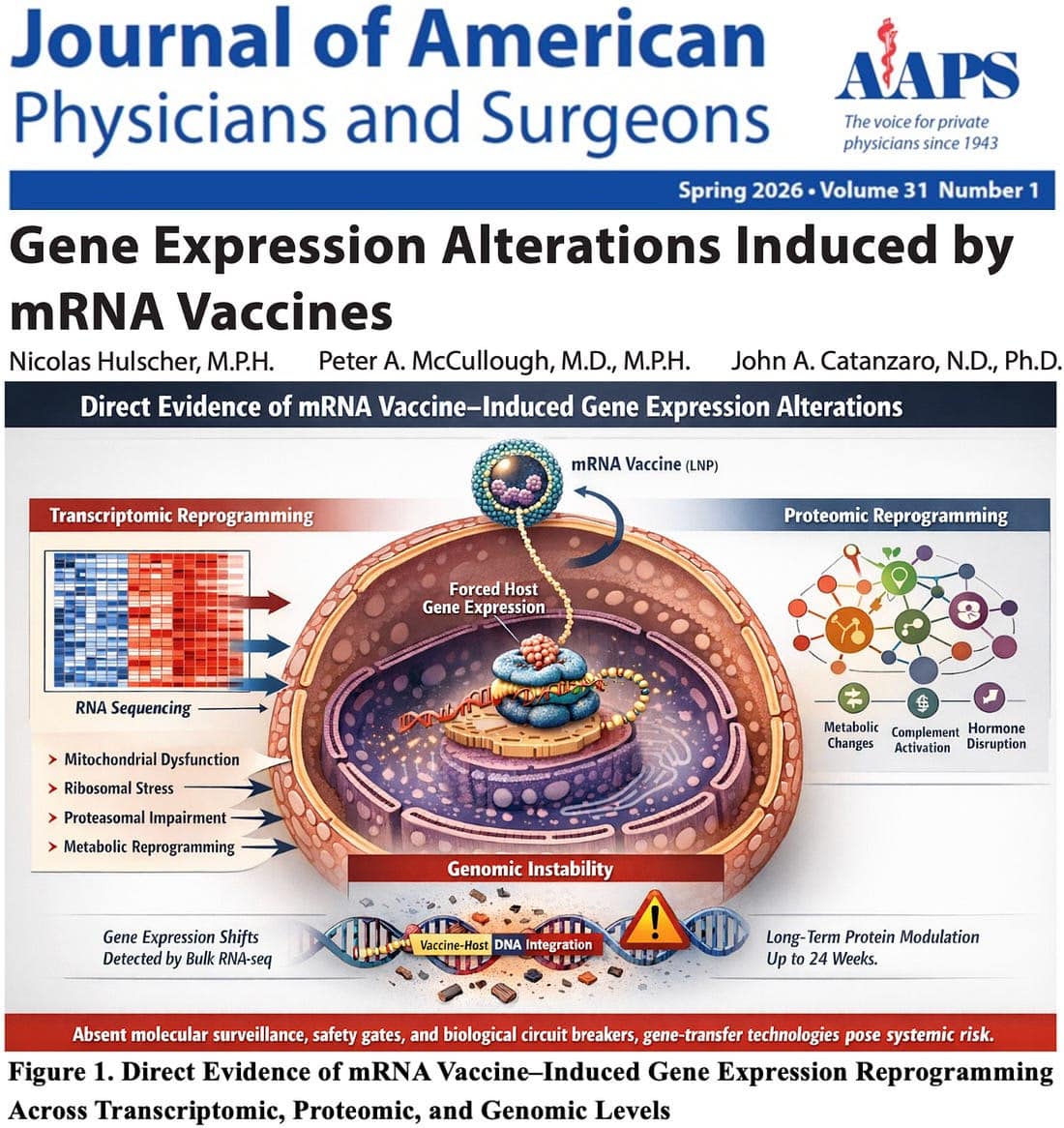 Multi-omic evidence shows mRNA gene-transfer shots fundamentally reprogram human gene expression across multiple biological systems — warranting immediate suspension of the entire mRNA platform.